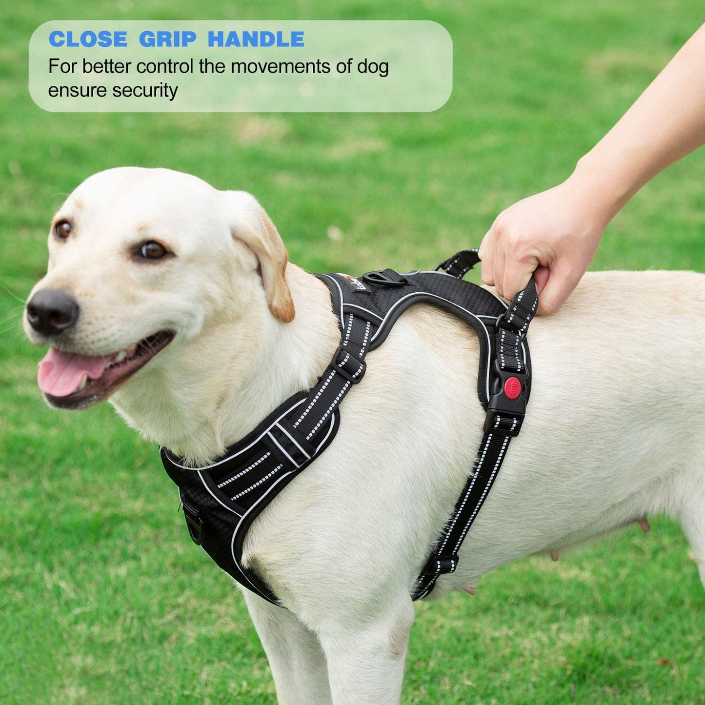 No Pull Dog Harness Adjustable Reflective Oxford Easy Control Medium Large Dog Harness with a Free Heavy Duty 5Ft Leash
