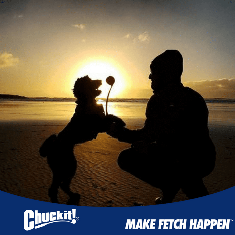 Fetch Medley Ball Set Rubber Dog Toys, Medium, Pack of 3, Assorted