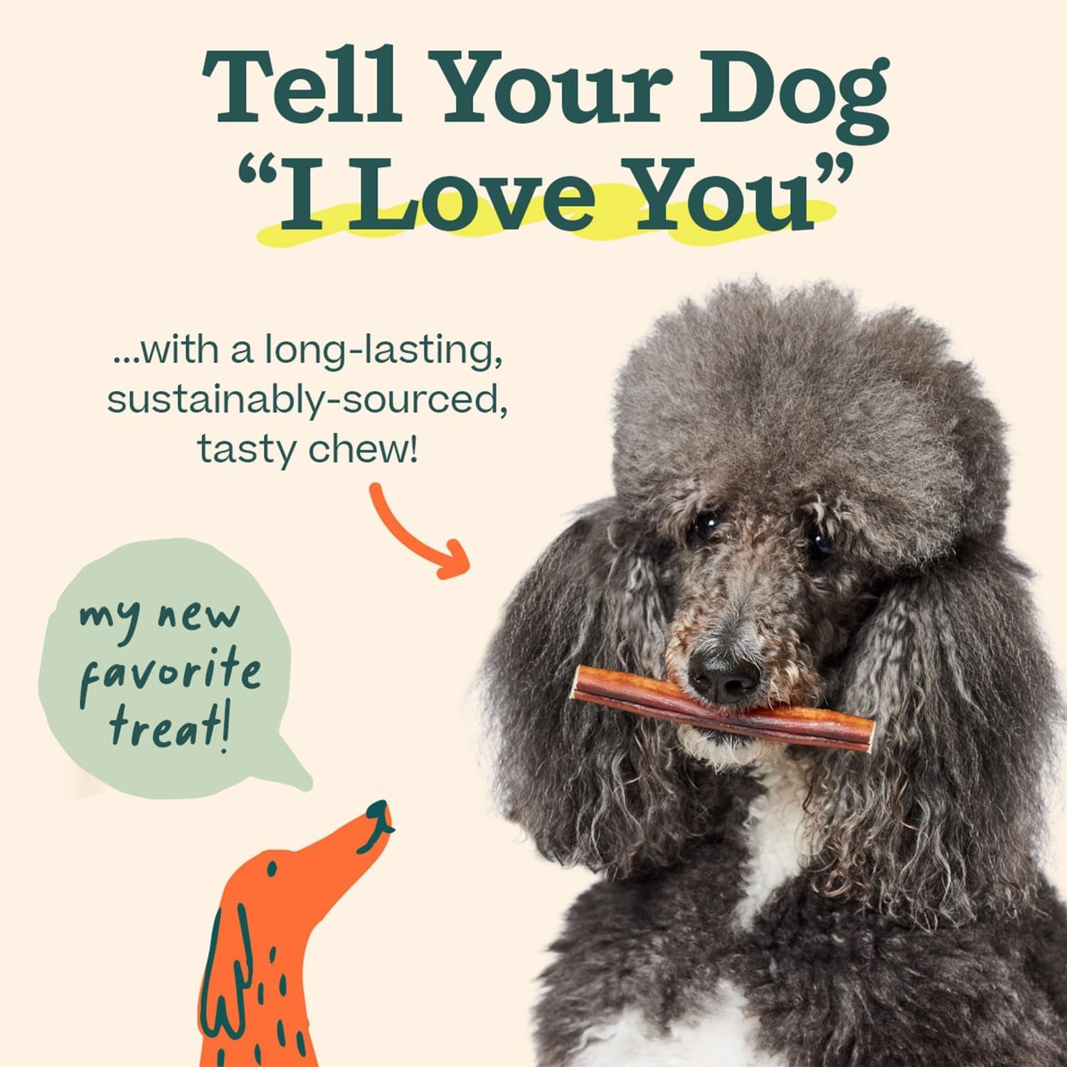 Bully Sticks Dog Treats - Chew Sticks for Dogs - Long-Lasting Dog Chew Treats - Dog Products Made with Free-Range, Grass-Fed Beef - 6" Sticks - 5Pk