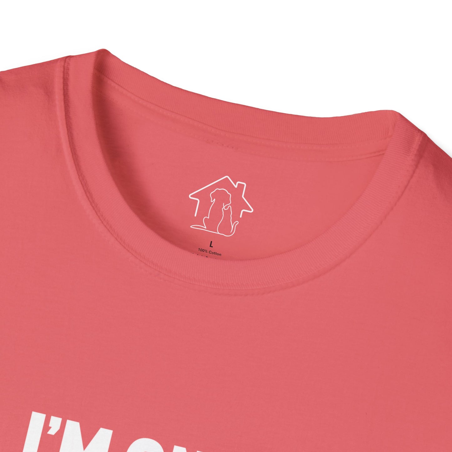 Unisex Softstyle T-Shirt - 'I’m Only Talking to My Cats Today' - Perfect for Cat Lovers