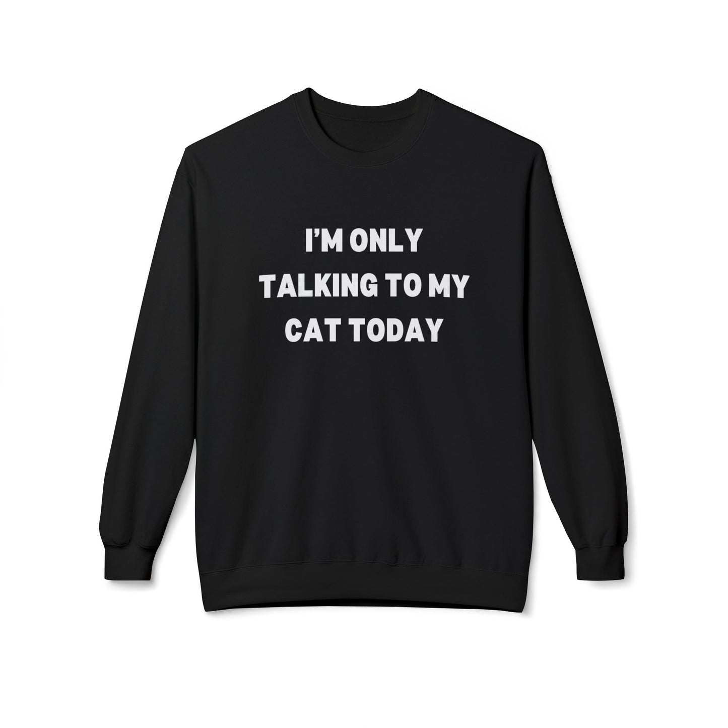 Funny Cat Lover Sweatshirt - I'm Only Talking to My Cat Today