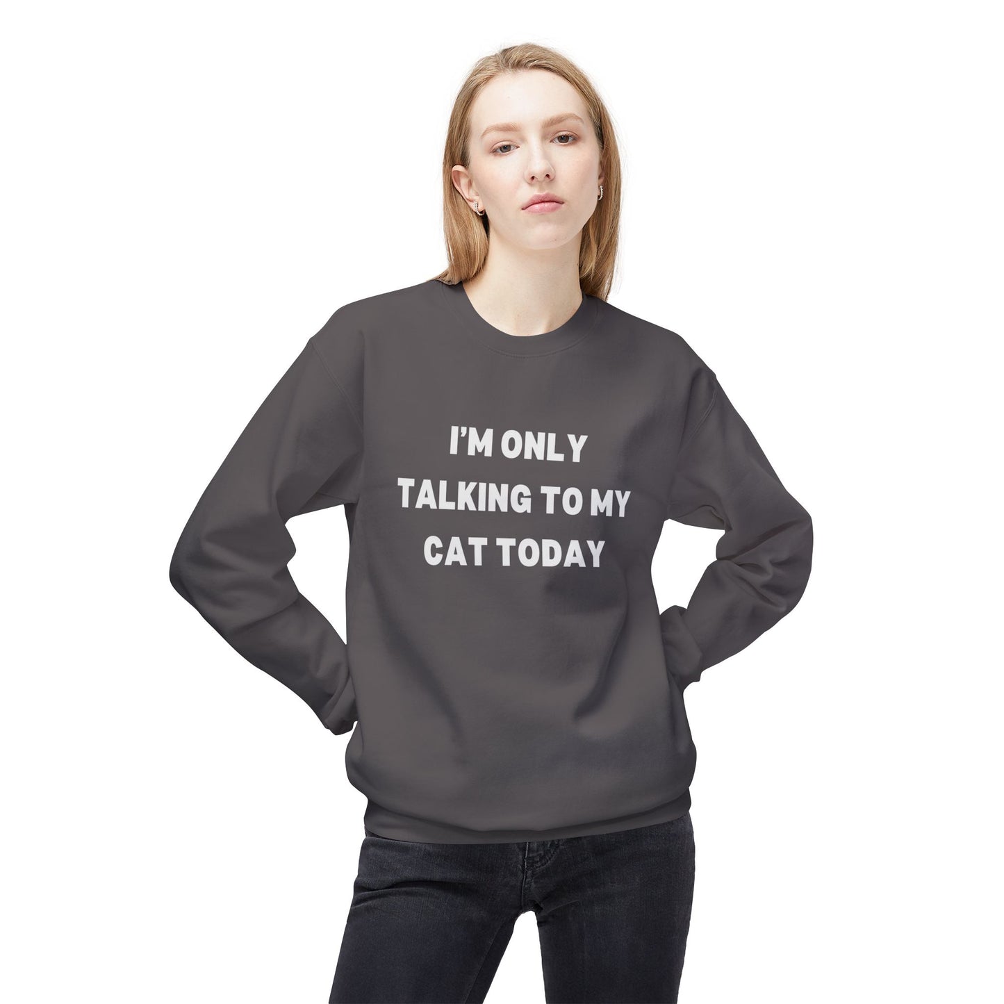 Funny Cat Lover Sweatshirt - I'm Only Talking to My Cat Today