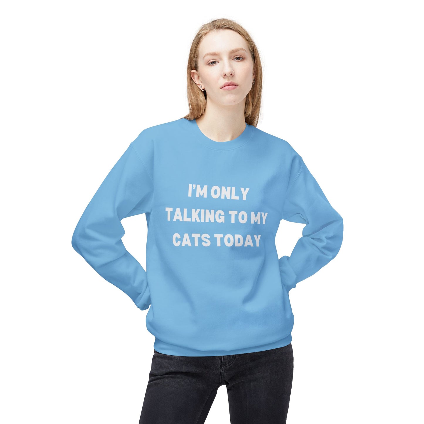 Funny Pet Lover Crewneck Sweatshirt - "I'm Only Talking to My Cats Today" - Perfect Gift for Cat Lovers