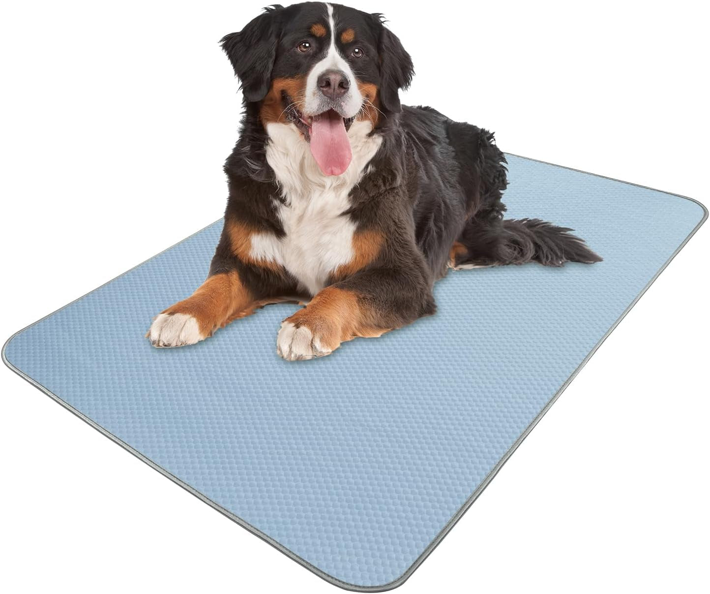 Summer Dog Cooling Mat Washable Ice Silk Self Cool Pad for Small Medium Large Dogs and Cats, Pet Sleeping Pad for Crate, Bed, Indoor & Outdoor Floor, Car Seats