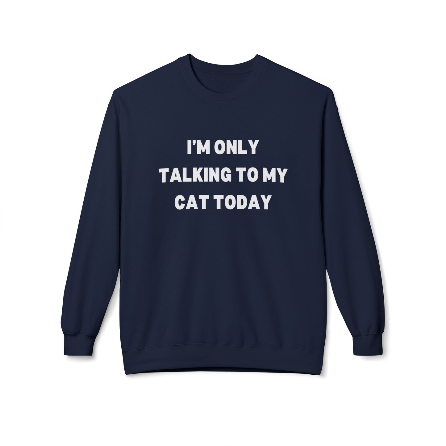 Funny Cat Lover Sweatshirt - I'm Only Talking to My Cat Today