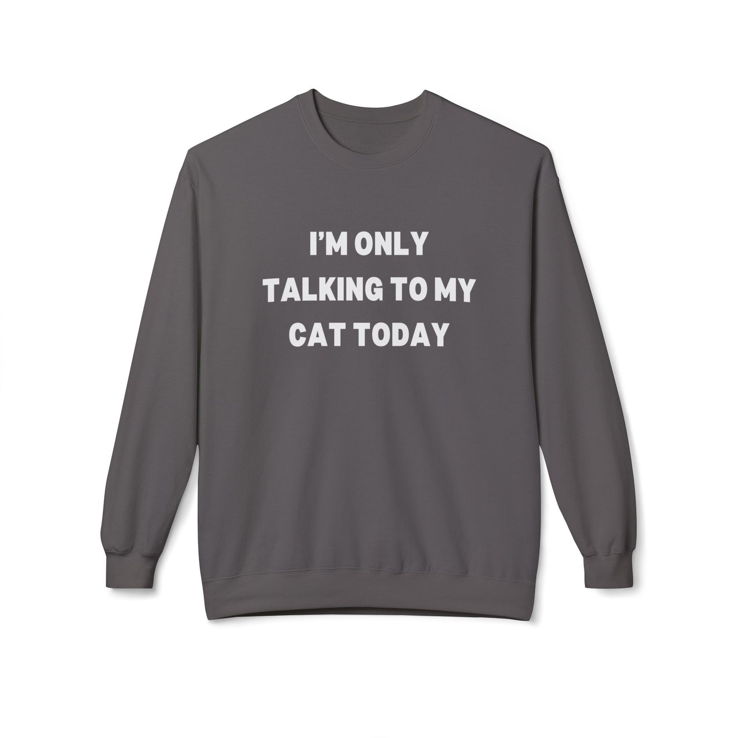 Funny Cat Lover Sweatshirt - I'm Only Talking to My Cat Today