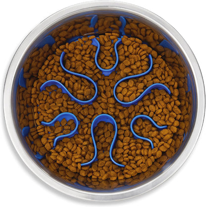 Fun Feeder Slo Bowl, Slow Feeder Dog Bowl, Medium/Mini, Turquoise