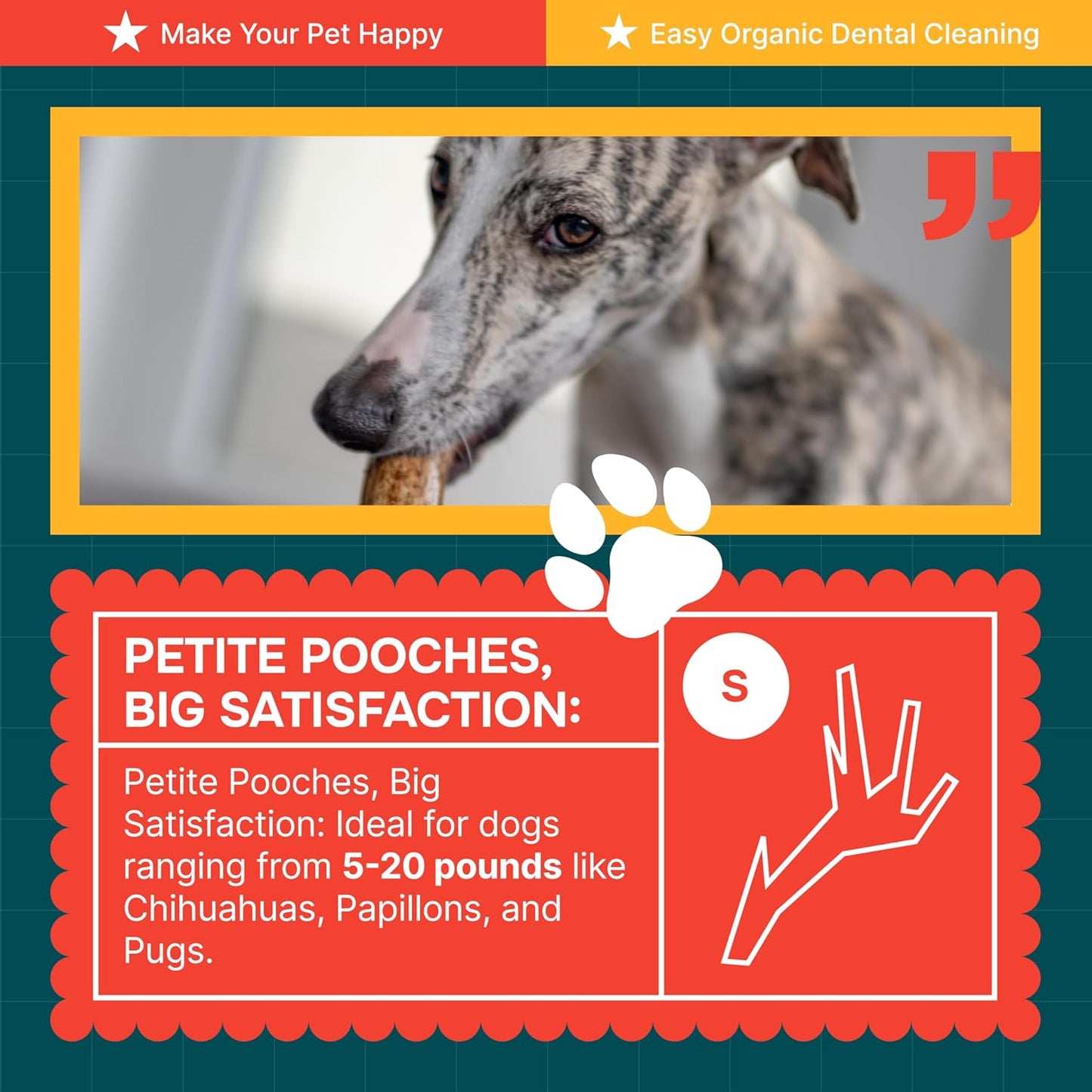 100% Natural - Antlers for Dogs - Naturally Shed in USA - Grade a Long Lasting Chew for Aggressive Chewers - Elk Antlers Dog Antler Chews - Real, Healthy Treats & Toys - No Odor & No Mess - Small