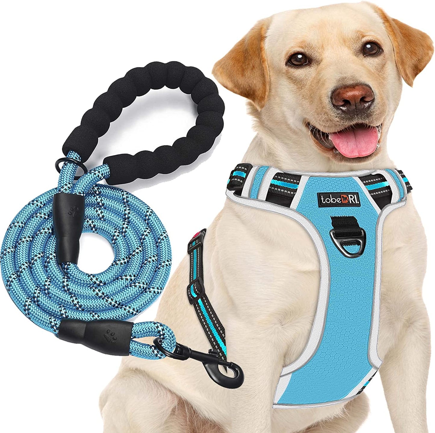 No Pull Dog Harness Adjustable Reflective Oxford Easy Control Medium Large Dog Harness with a Free Heavy Duty 5Ft Leash