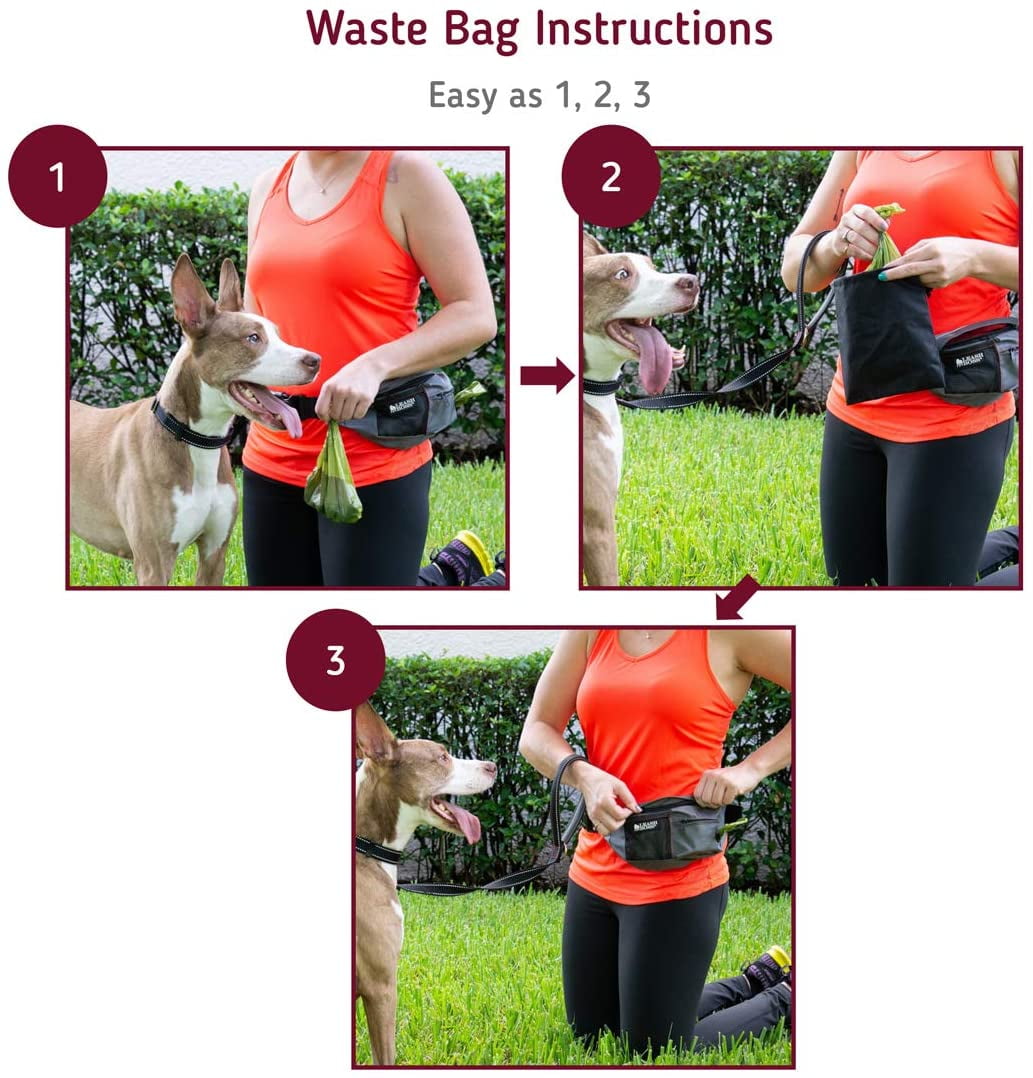 | Packup Pouch | Dog Treat Training Pouch with Waste Bag Dispenser | Adjustable Waist Belt Fanny Pack Design | Gray