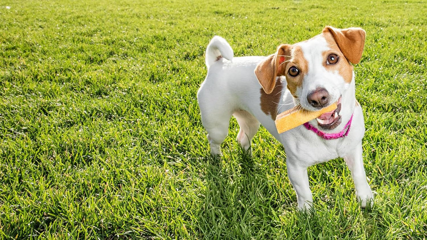 Yak Cheese Himalayan Dog Chews, High Protein, Natural Dog Treats Small Dogs, Lactose Free Chew Sticks for Aggressive Chewers, Long Lasting Pet Treat for Dogs under 15 Lbs, 9 Small Chews