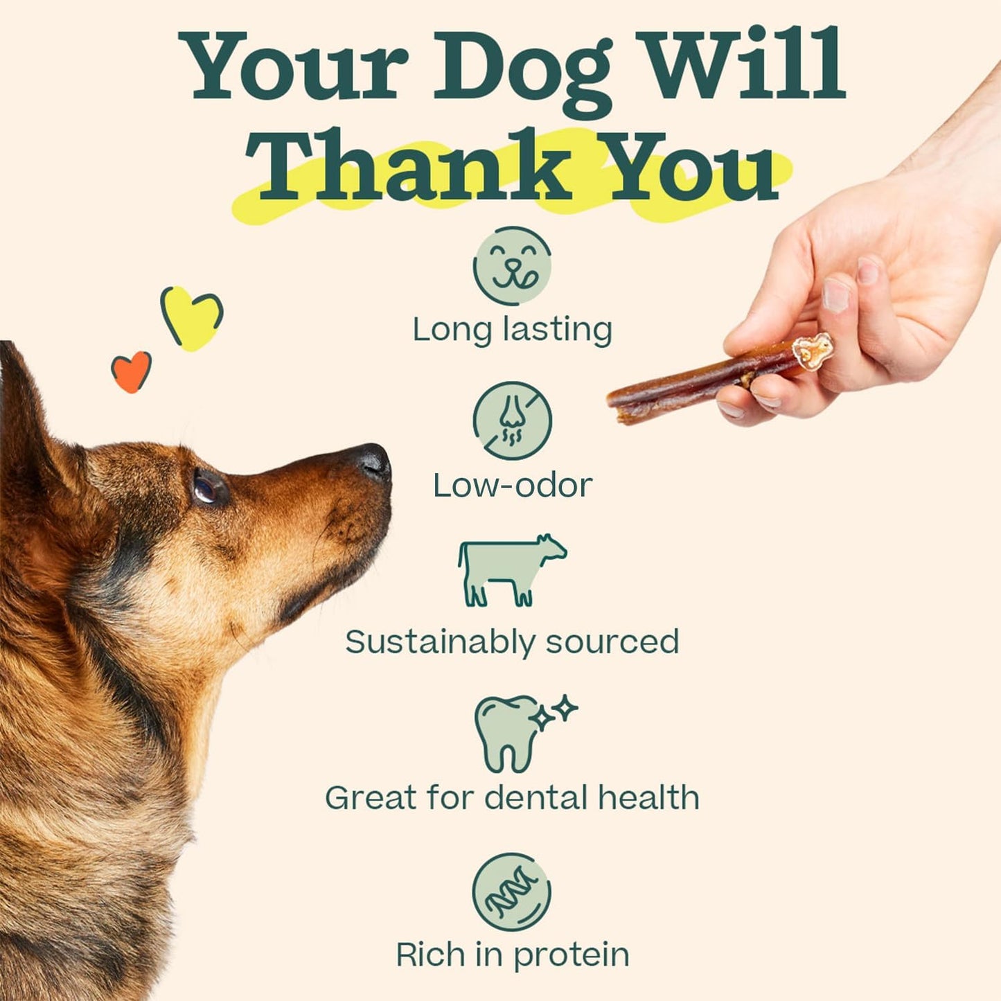 Bully Sticks Dog Treats - Chew Sticks for Dogs - Long-Lasting Dog Chew Treats - Dog Products Made with Free-Range, Grass-Fed Beef - 6" Sticks - 5Pk