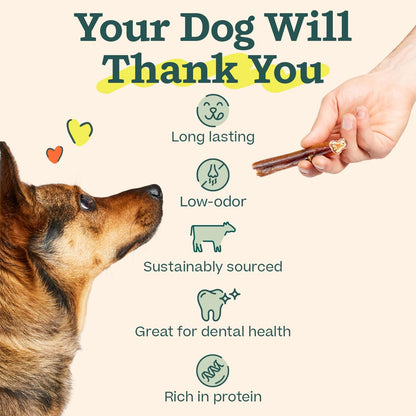 Bully Sticks Dog Treats - Chew Sticks for Dogs - Long-Lasting Dog Chew Treats - Dog Products Made with Free-Range, Grass-Fed Beef - 6" Sticks - 5Pk
