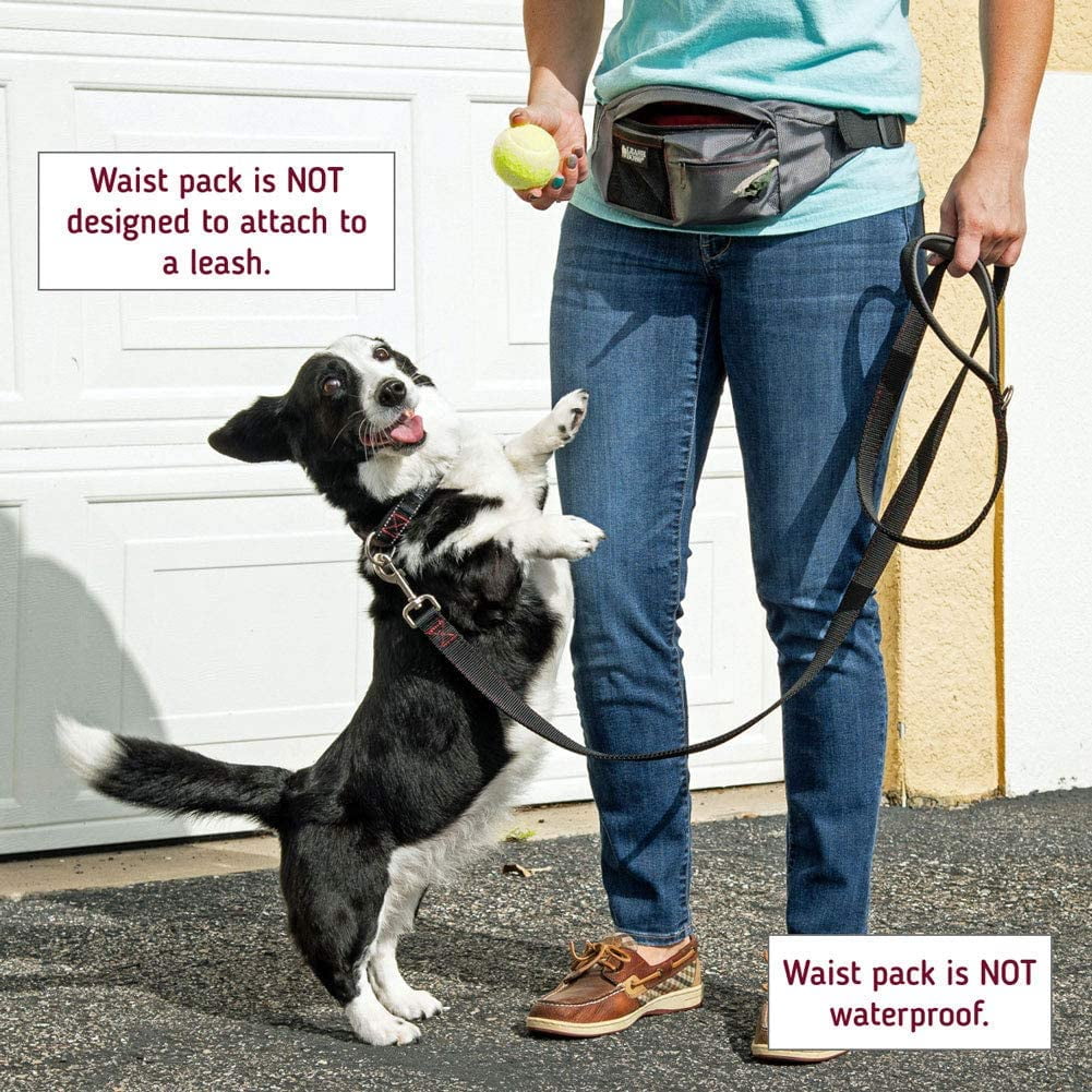 | Packup Pouch | Dog Treat Training Pouch with Waste Bag Dispenser | Adjustable Waist Belt Fanny Pack Design | Gray