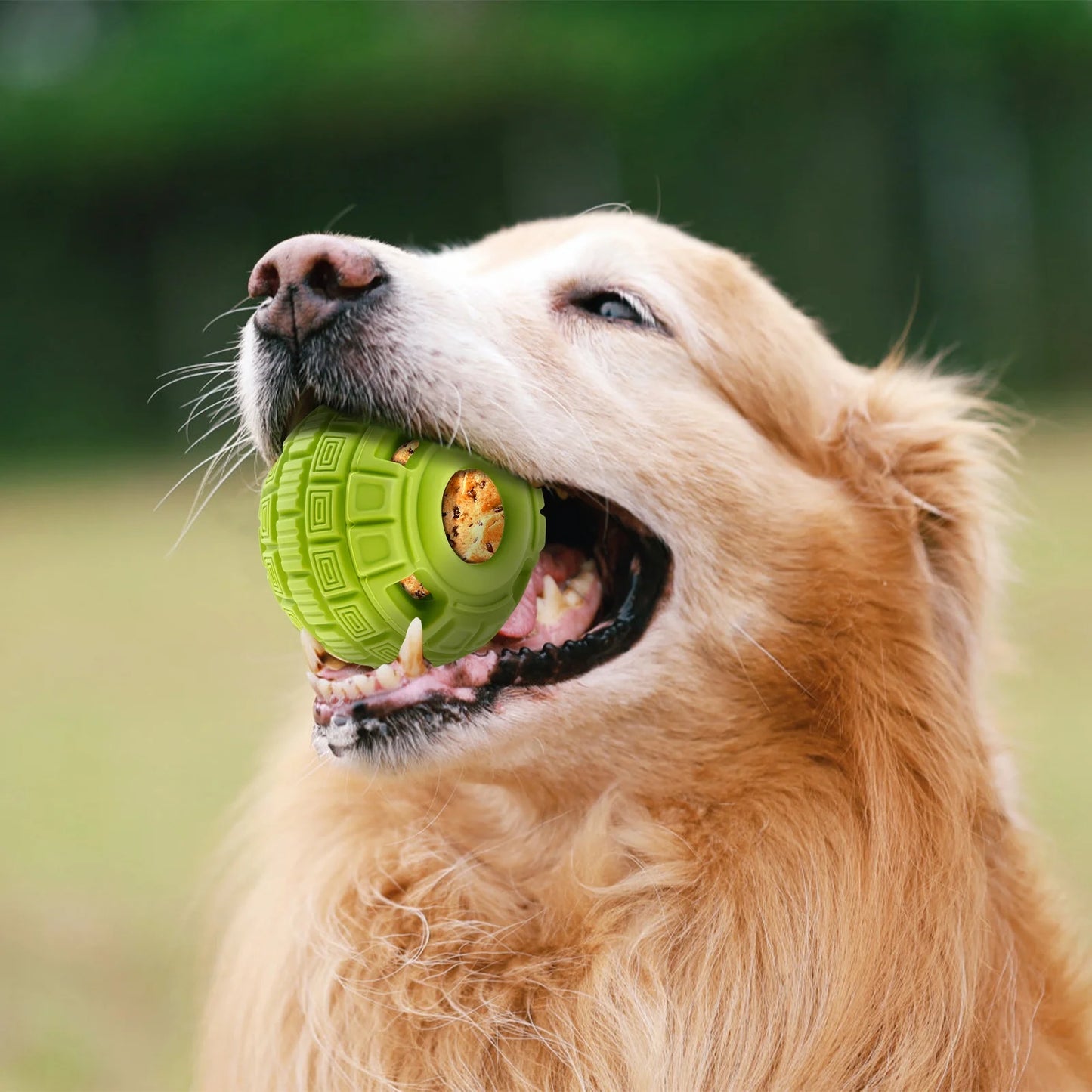 Frozen Dog Treat Ball Rubber Frozen Treat Dog Toys Slow Food Training Frozen Dog Treats Dispenser Interactive Frozen Dog Lick Treat Ball with Treat Tray Mold for Dogs Puppy