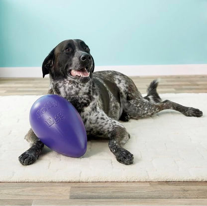 Jolly Egg Dog Toy, 8 Inches/Medium, Red (JE08 RD)