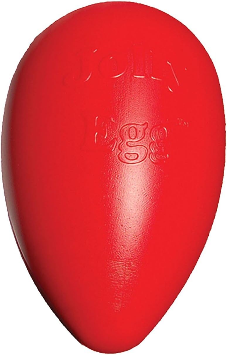 Jolly Egg Dog Toy, 8 Inches/Medium, Red (JE08 RD)