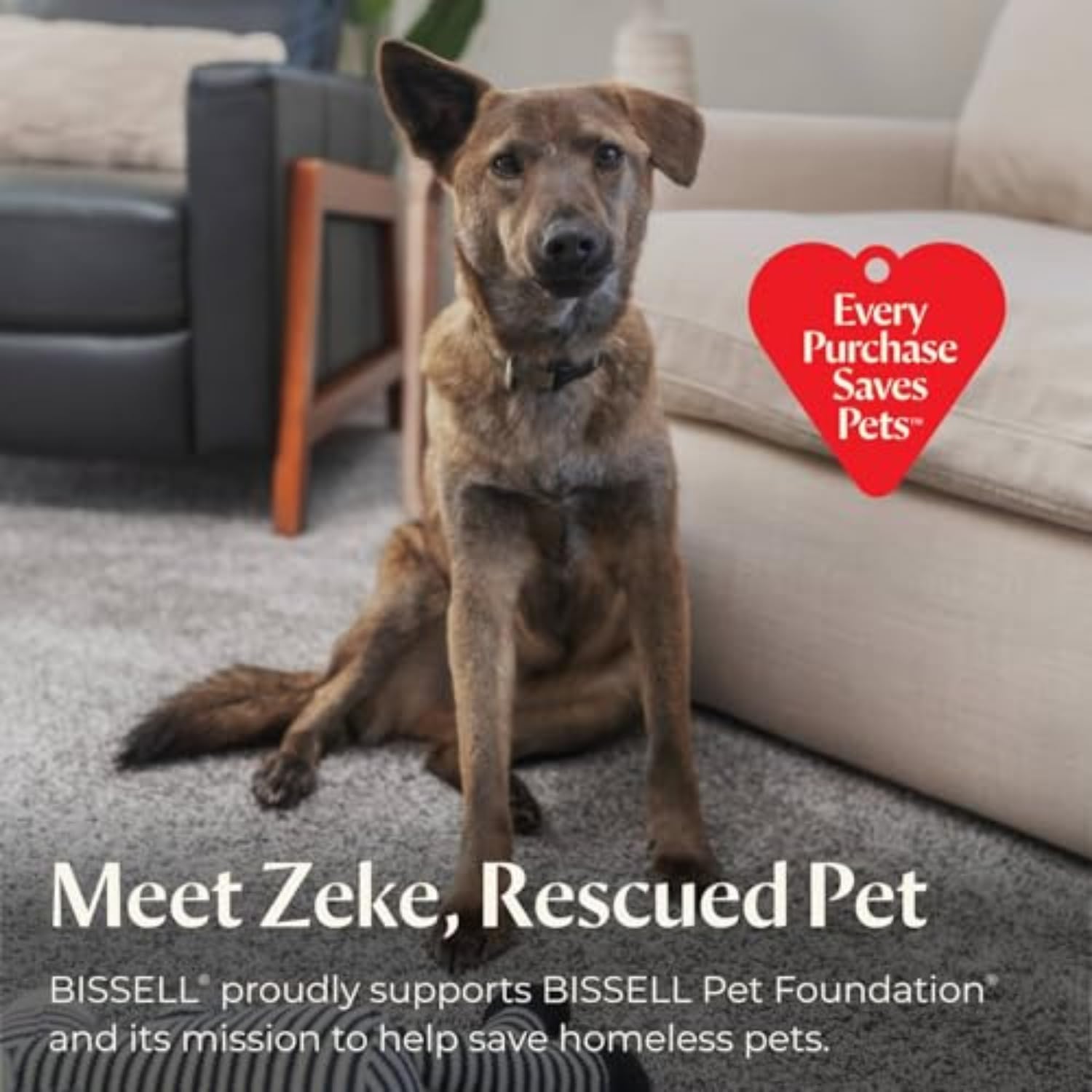 Little Green Multi-Purpose Portable Carpet and Upholstery Cleaner, Car and Auto Detailer, with Exclusive Specialty Tools, Green, 1400B