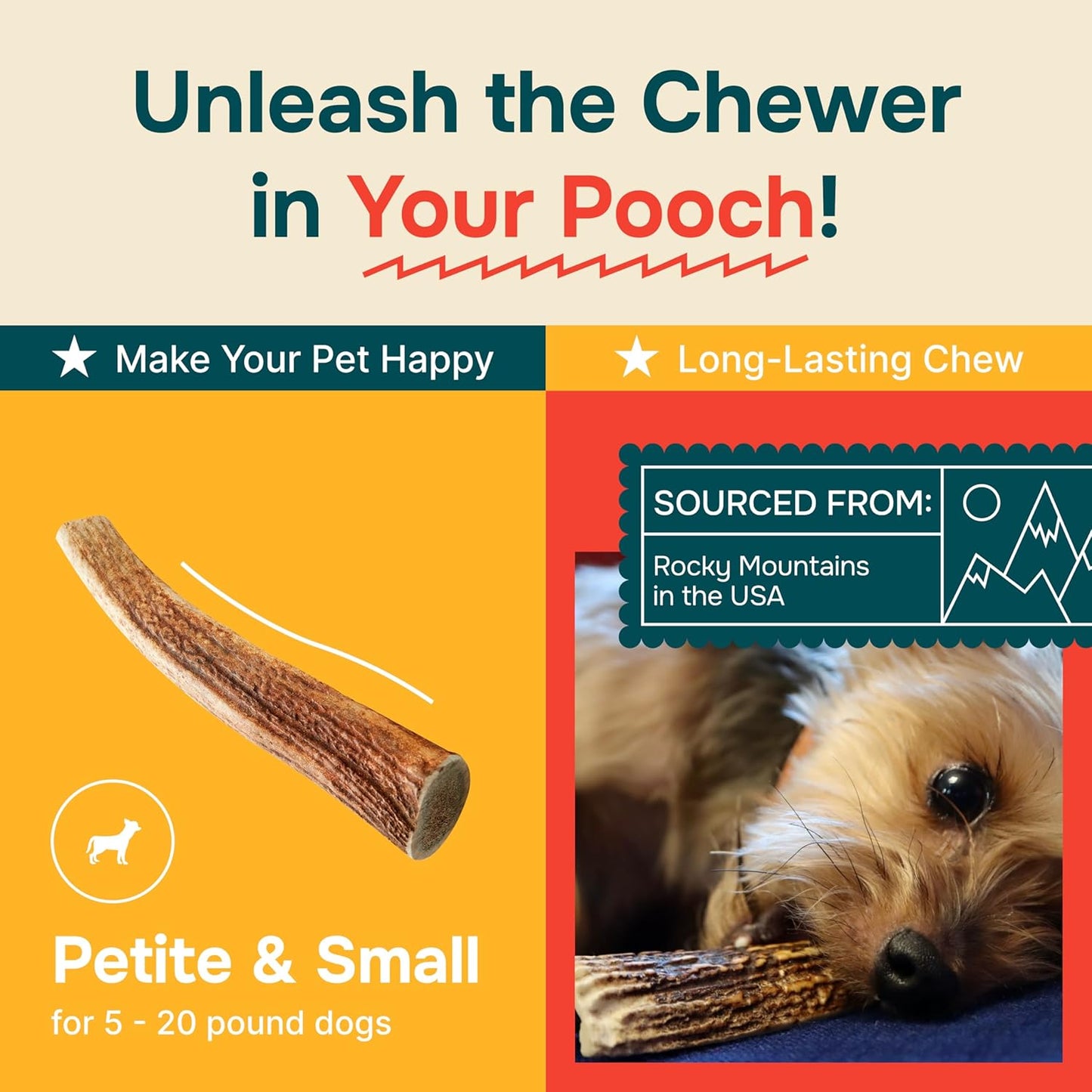 100% Natural - Antlers for Dogs - Naturally Shed in USA - Grade a Long Lasting Chew for Aggressive Chewers - Elk Antlers Dog Antler Chews - Real, Healthy Treats & Toys - No Odor & No Mess - Small