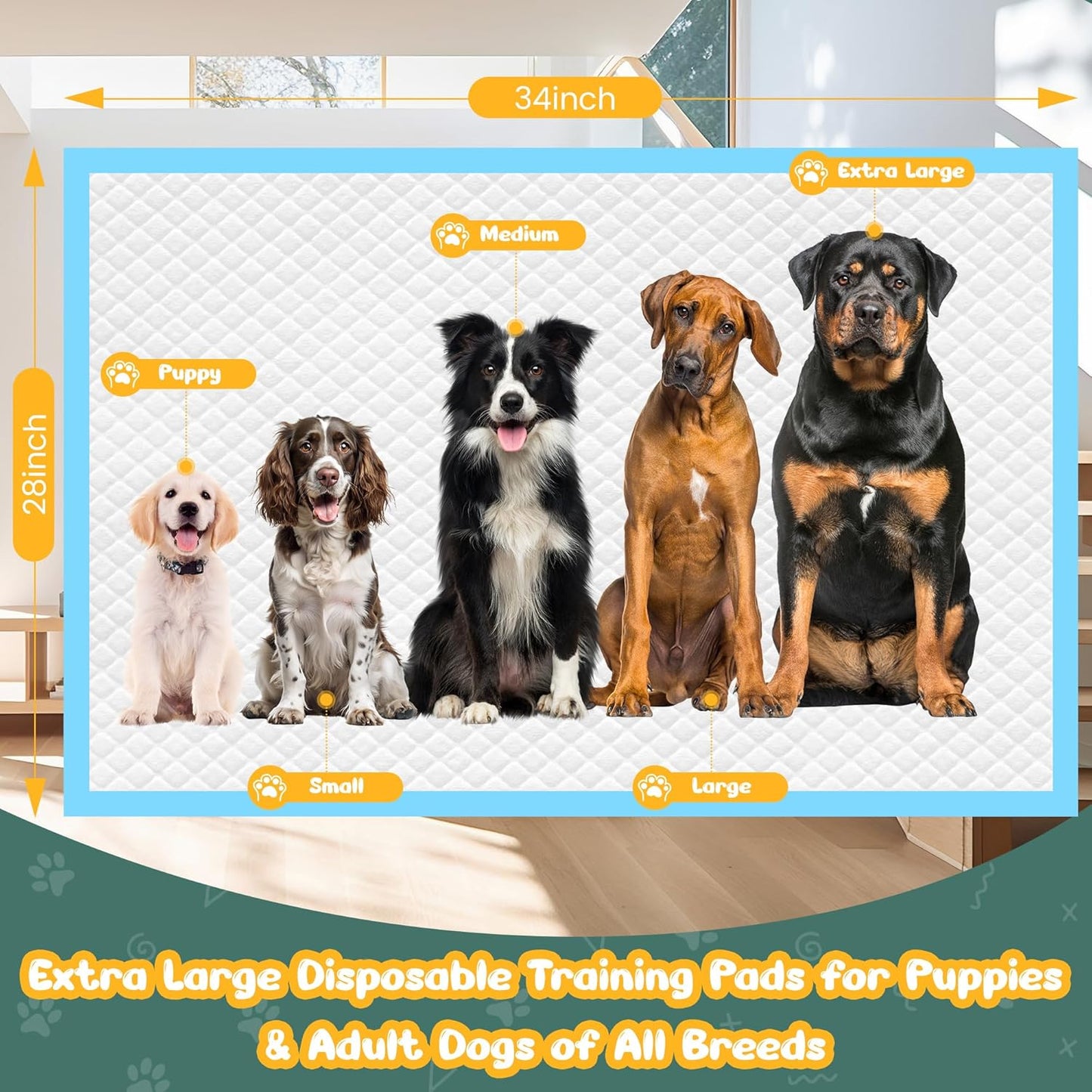 60 Count Extra Large Dog Pee Pads 28" X 34", Super Absorbent X-Large Puppy Pads Disposable Dogs Training Pads, Quick Drying Leak-Proof Dog Potty Pads for Doggies Puppies Cats