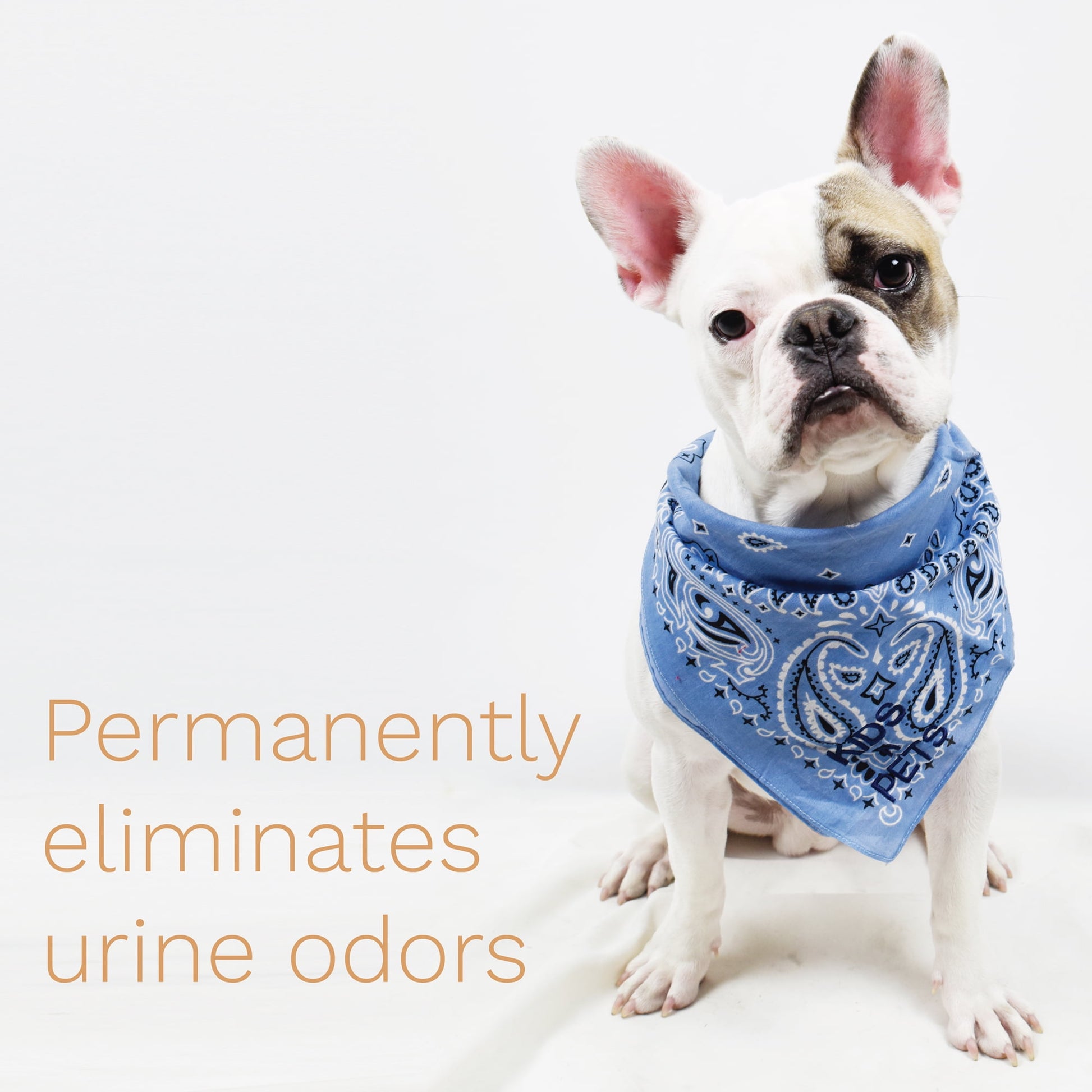 Kids ‘N’ Pets Stain + Odor Remover Cleans Even Dog, Cat Urine Smells, Spots from Carpet, Couch - 27Oz