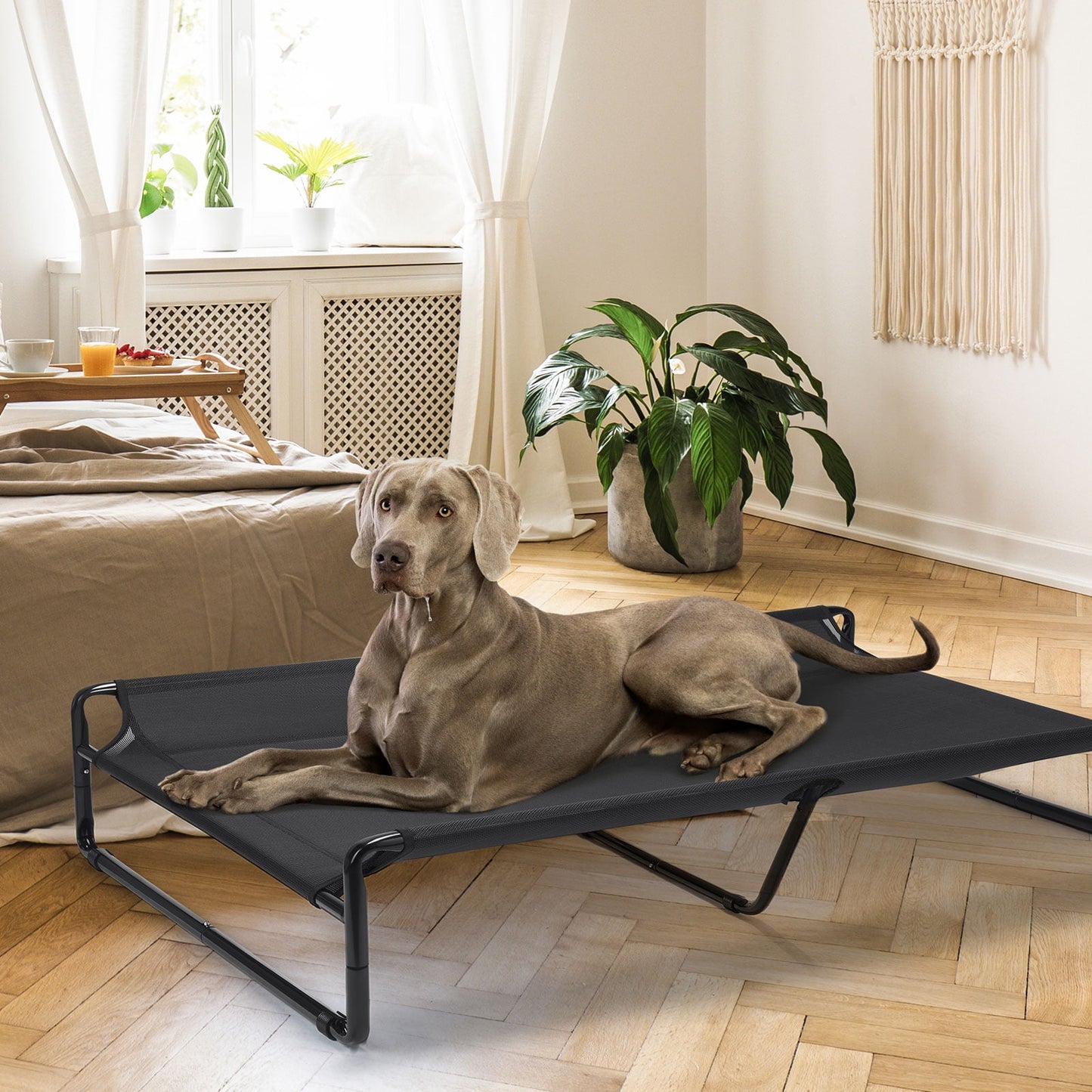Cooling Elevated Dog Bed, Raised Dog Cot with Washable Mesh, Xx-Large, Black