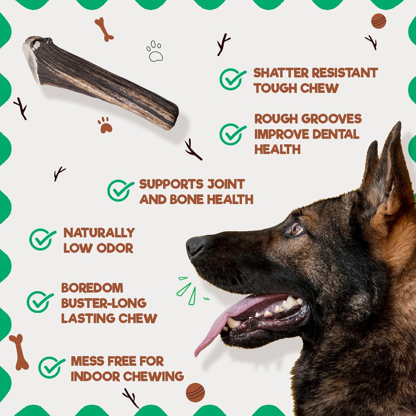 Jack&Pup Whole Elk Antlers for Dogs Large | Naturally Shed Rawhide Free Dog Chews Long Lasting Elk Horns for Dogs | Dog Antlers for Aggressive Chewers (1 Medium Antler)