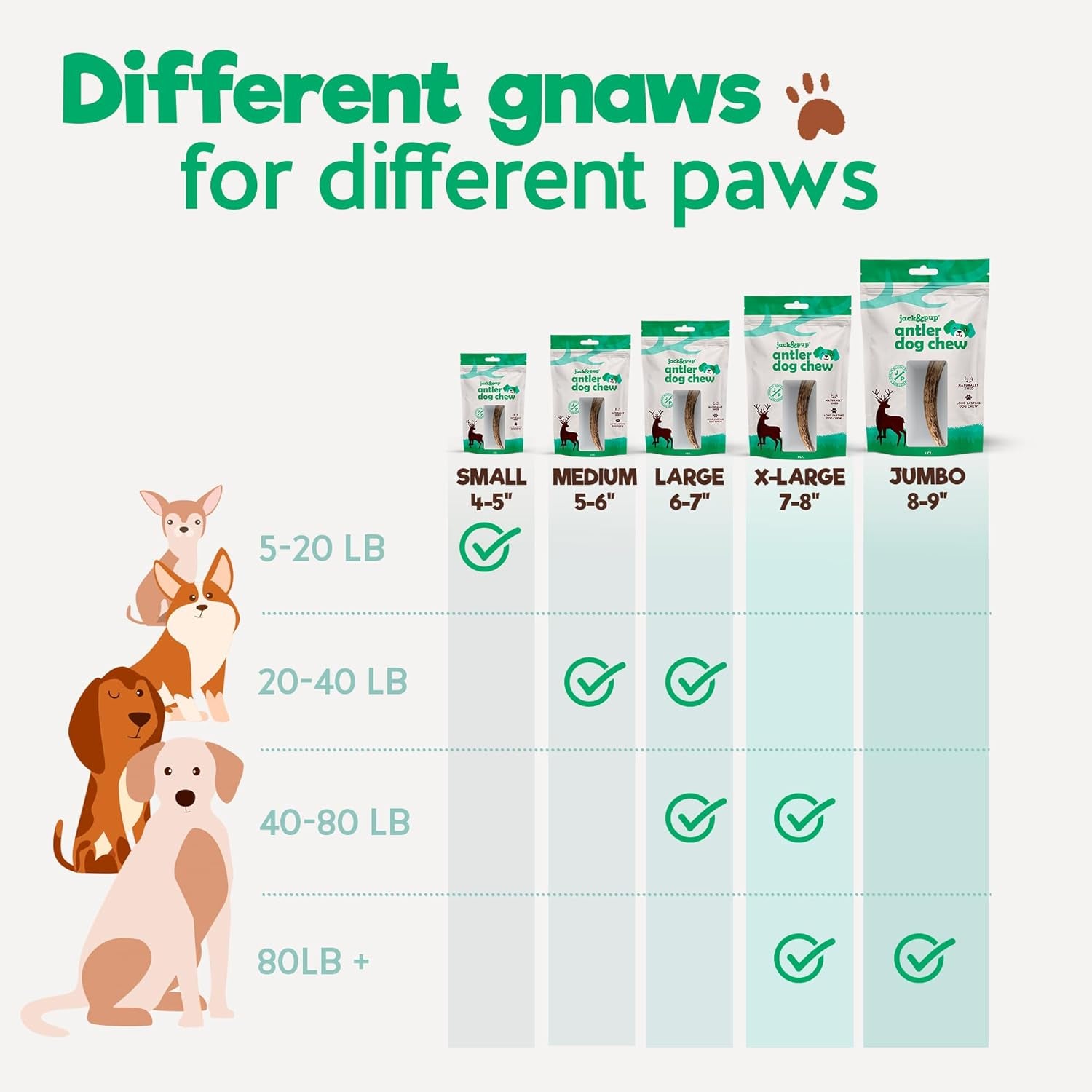 Jack&Pup Whole Elk Antlers for Dogs Large | Naturally Shed Rawhide Free Dog Chews Long Lasting Elk Horns for Dogs | Dog Antlers for Aggressive Chewers (1 Medium Antler)