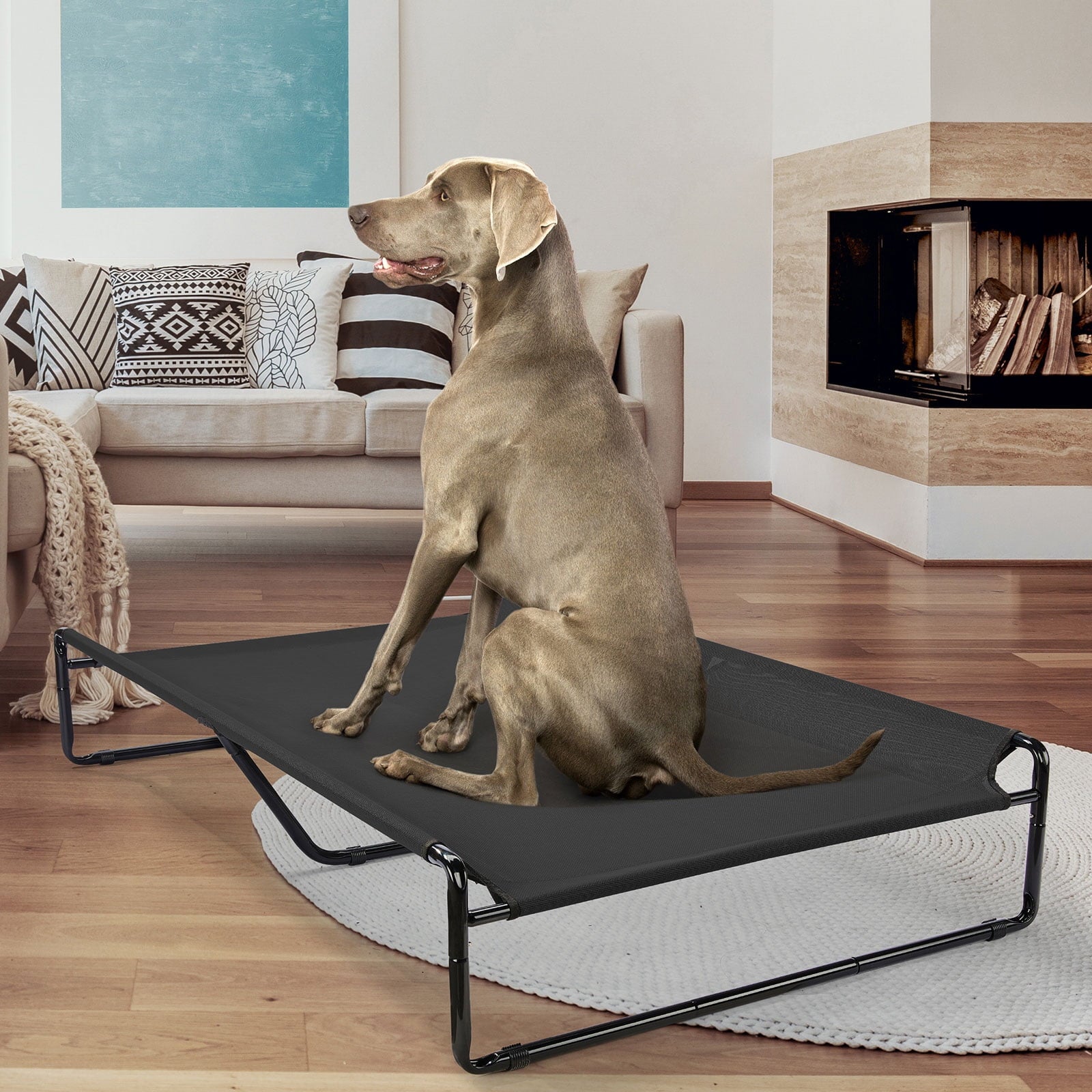 Cooling Elevated Dog Bed, Raised Dog Cot with Washable Mesh, Xx-Large, Black