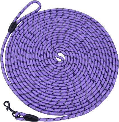 Dog/Puppy Obedience Recall Training Agility Lead - 15Ft 20Ft 30Ft 50Ft 100Ft Training Leash - Great for Play, Camping, or Backyard - Black 30Ft