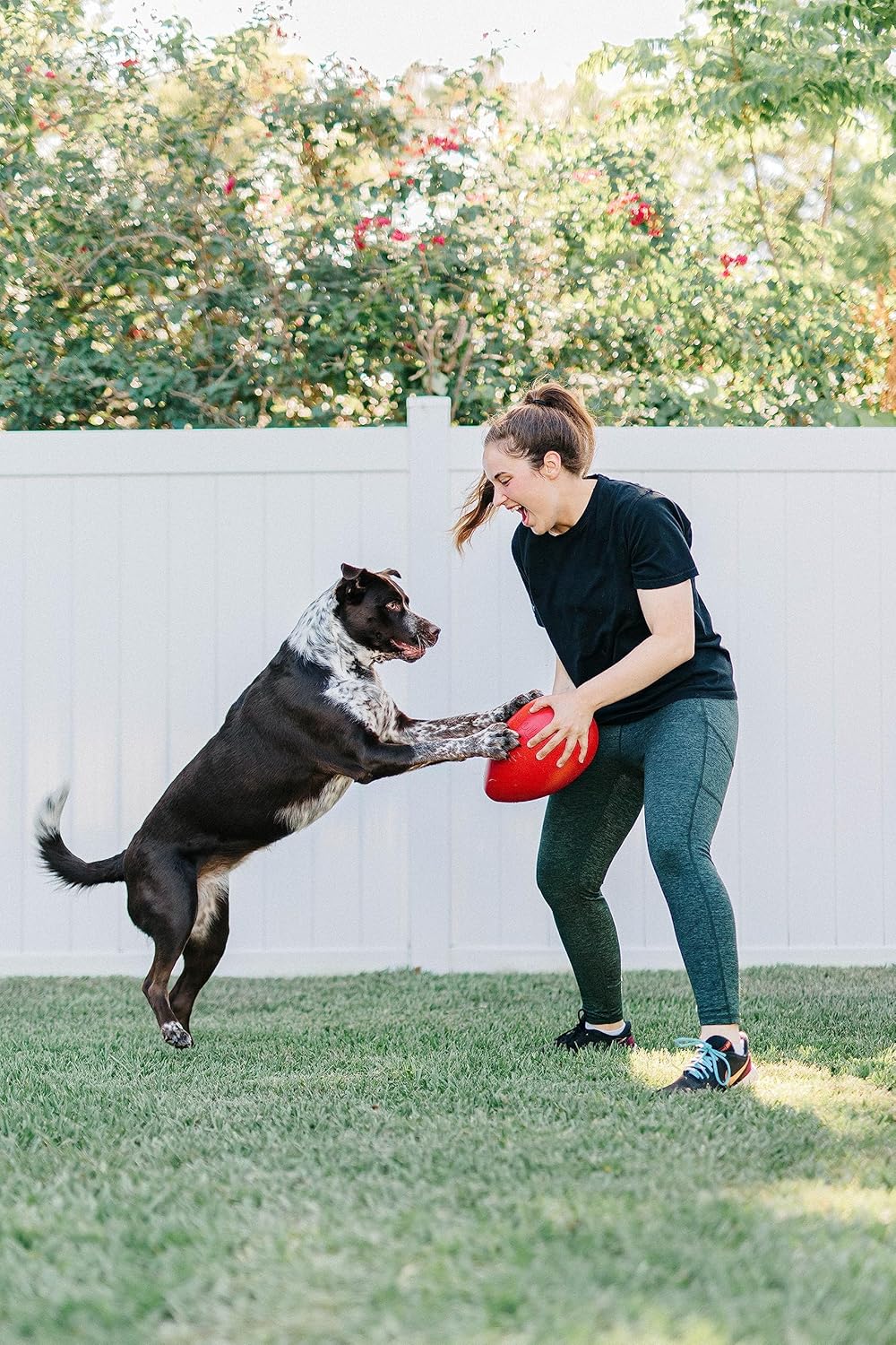 Jolly Egg Dog Toy, 8 Inches/Medium, Red (JE08 RD)