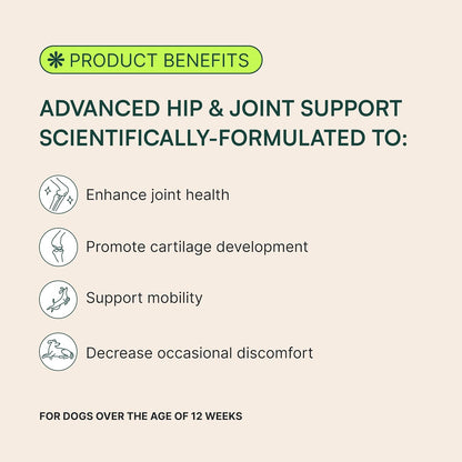 Advanced Dog Hip and Joint Supplement with Glucosamine, Chondroitin, Omega 3, MSM, and Green Lipped Mussel, 60 Pork Flavored Chews for Small and Medium Dog Breeds