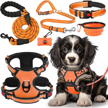 No Pull Dog Harness, Collar & Leash Set | Includes Dog Seat Belt, Collapsible Bowls & Poop Bag Dispenser. Ideal for Training, Walking, Hiking. Fits Small to Large Dogs(Pink-L)