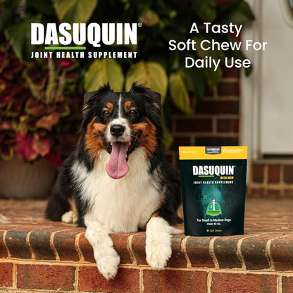 Dasuquin with MSM Joint Health Supplement for Small to Medium Dogs - with Glucosamine, MSM, Chondroitin, ASU, Boswellia Serrata Extract, and Green Tea Extract, 84 Soft Chews