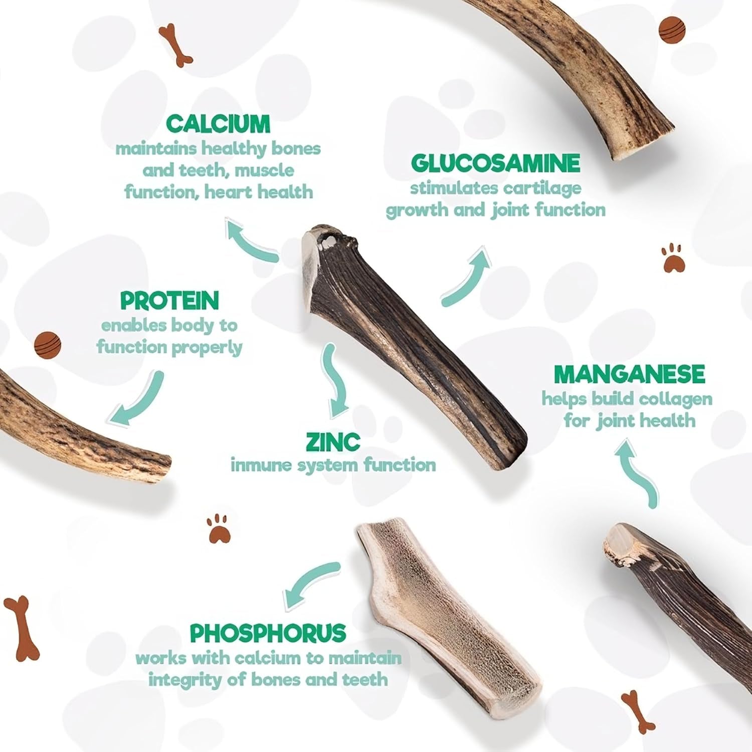 Jack&Pup Whole Elk Antlers for Dogs Large | Naturally Shed Rawhide Free Dog Chews Long Lasting Elk Horns for Dogs | Dog Antlers for Aggressive Chewers (1 Medium Antler)