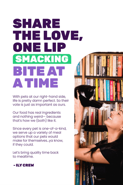 Treat Meow Squeeze & Thank You Treat, Digestion Support Chicken Purée, 4 Ct.