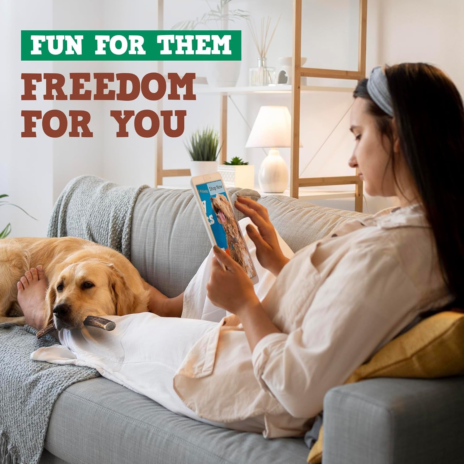 Jack&Pup Whole Elk Antlers for Dogs Large | Naturally Shed Rawhide Free Dog Chews Long Lasting Elk Horns for Dogs | Dog Antlers for Aggressive Chewers (1 Medium Antler)