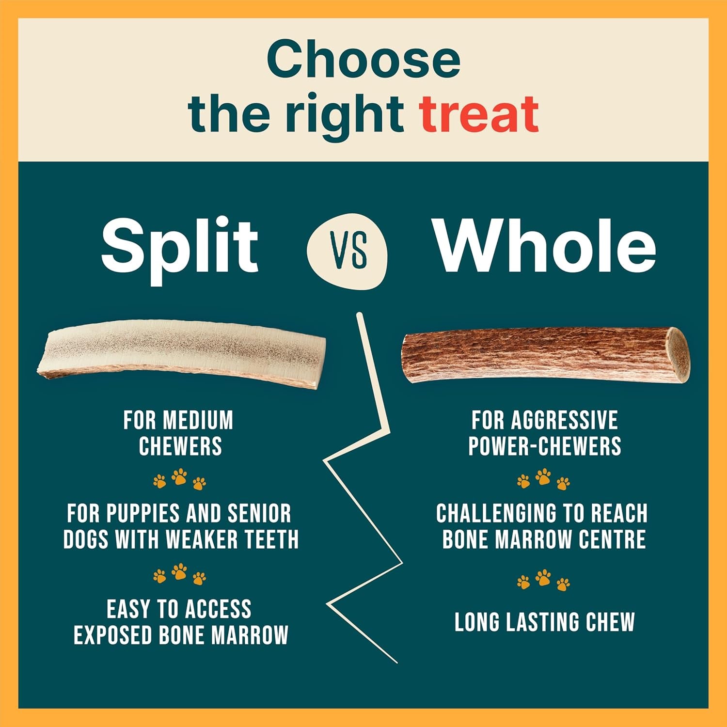 100% Natural - Antlers for Dogs - Naturally Shed in USA - Grade a Long Lasting Chew for Aggressive Chewers - Elk Antlers Dog Antler Chews - Real, Healthy Treats & Toys - No Odor & No Mess - Small