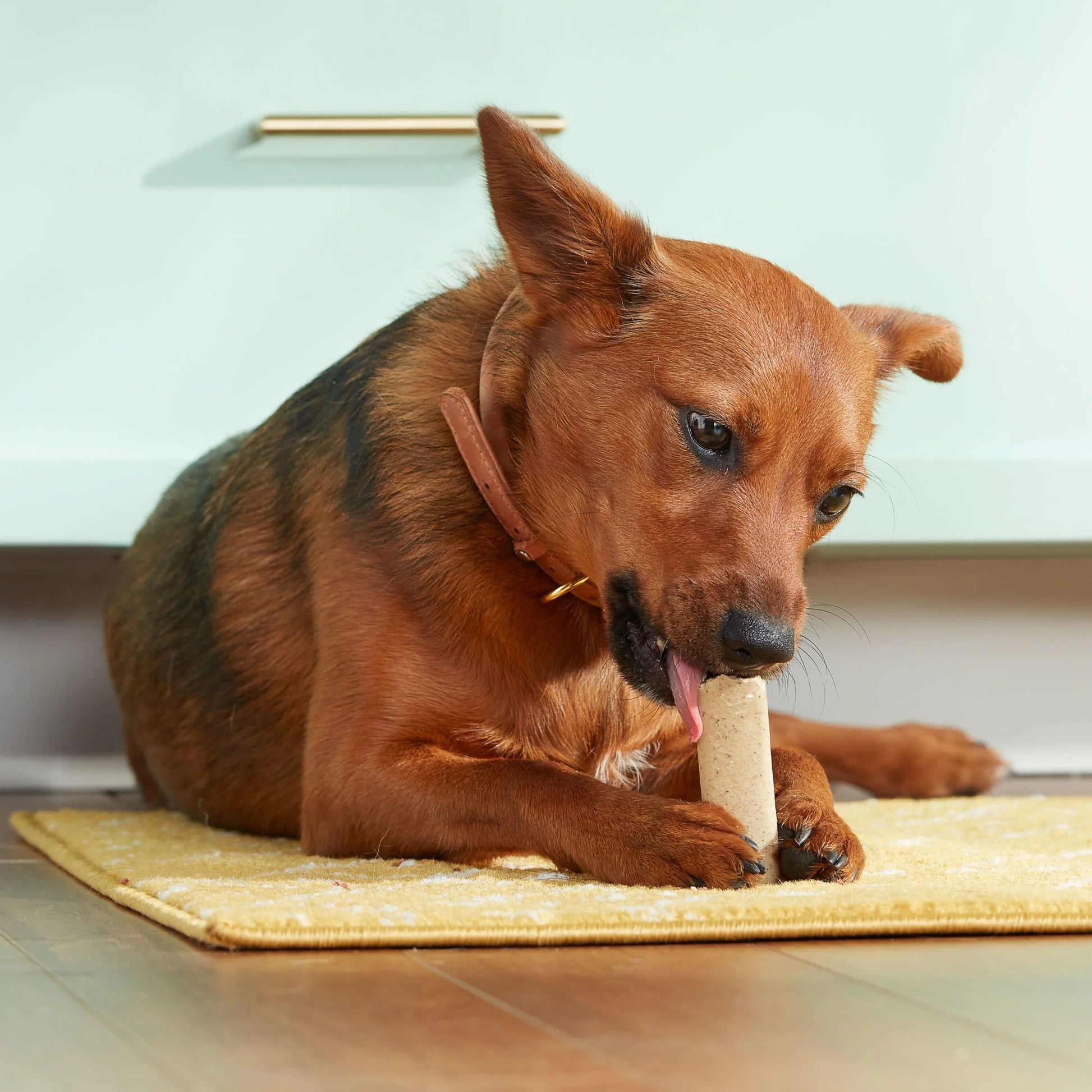 Rachael Ray  Soup Bones Dry Dog Treats with Real Chicken & Veggies, 6 Soft Treats