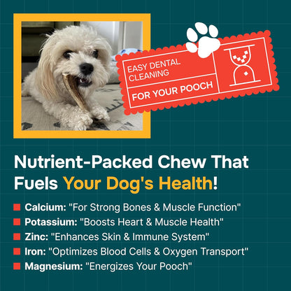 100% Natural - Antlers for Dogs - Naturally Shed in USA - Grade a Long Lasting Chew for Aggressive Chewers - Elk Antlers Dog Antler Chews - Real, Healthy Treats & Toys - No Odor & No Mess - Small