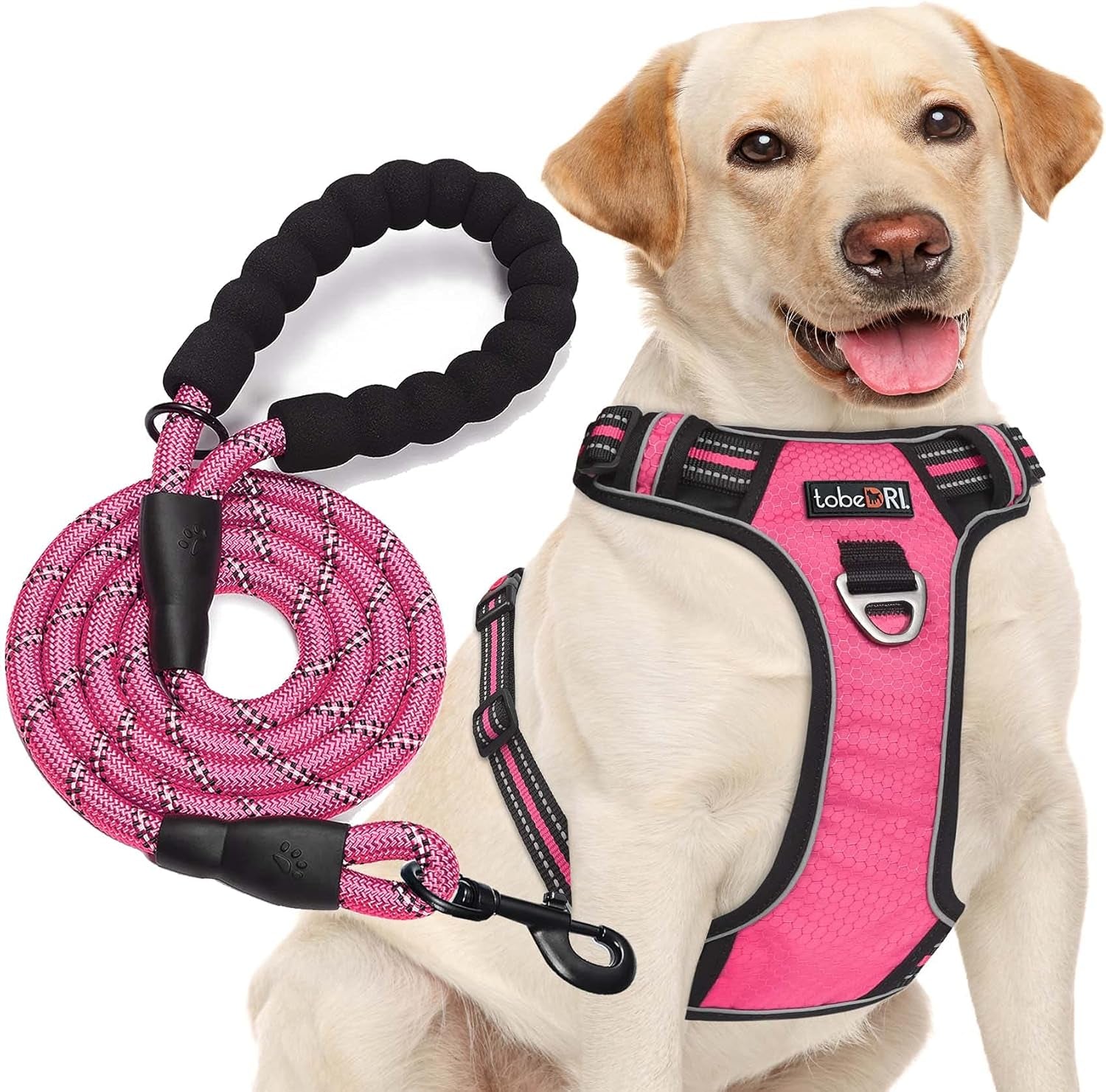 No Pull Dog Harness Adjustable Reflective Oxford Easy Control Medium Large Dog Harness with a Free Heavy Duty 5Ft Leash