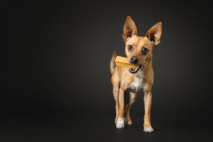 Yak Cheese Himalayan Dog Chews, High Protein, Natural Dog Treats Small Dogs, Lactose Free Chew Sticks for Aggressive Chewers, Long Lasting Pet Treat for Dogs under 15 Lbs, 9 Small Chews