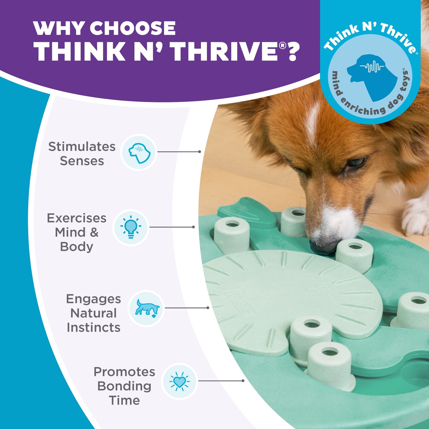 Nina Ottosson Dog Worker Treat Puzzle Enrichment Toy, Level 3 Advanced, Green