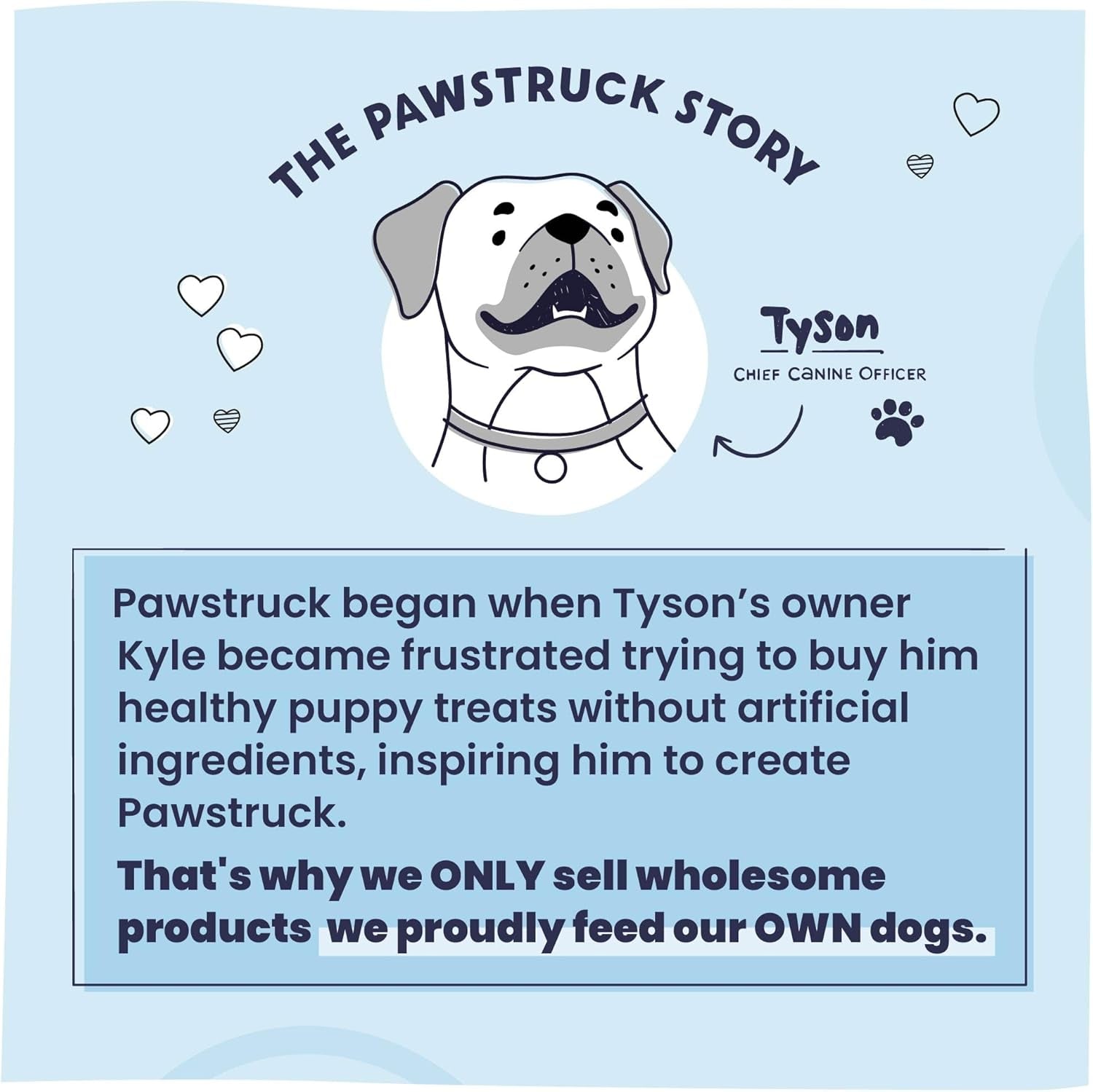 Natural 5-8" Bully Sticks for Dogs - Best Long-Lasting, Rawhide-Free, Low Odor Dental Chew Treat - Healthy Single Ingredient, 100% Real Beef - 8 Oz Bag - Packaging May Vary