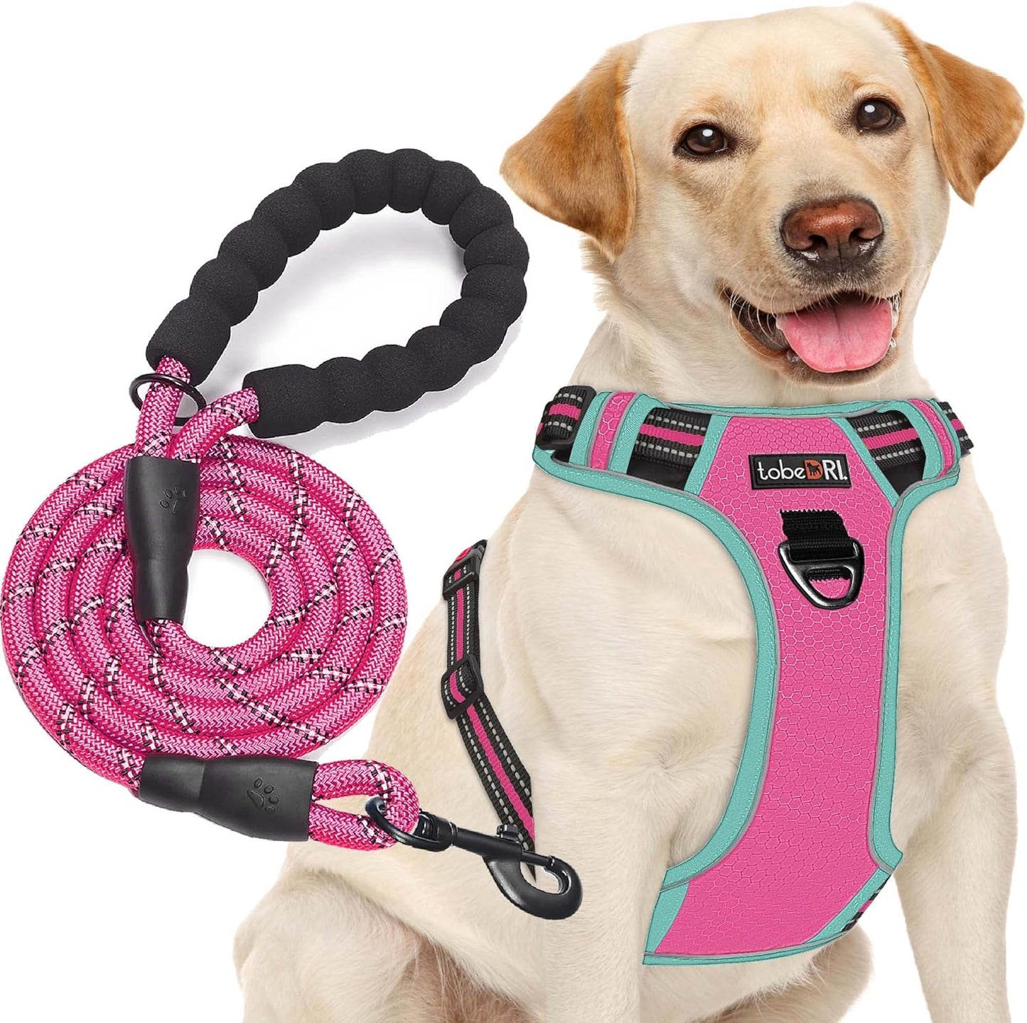 No Pull Dog Harness Adjustable Reflective Oxford Easy Control Medium Large Dog Harness with a Free Heavy Duty 5Ft Leash