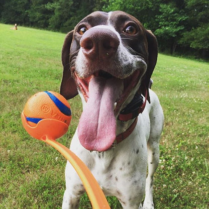 Fetch Medley Ball Set Rubber Dog Toys, Medium, Pack of 3, Assorted