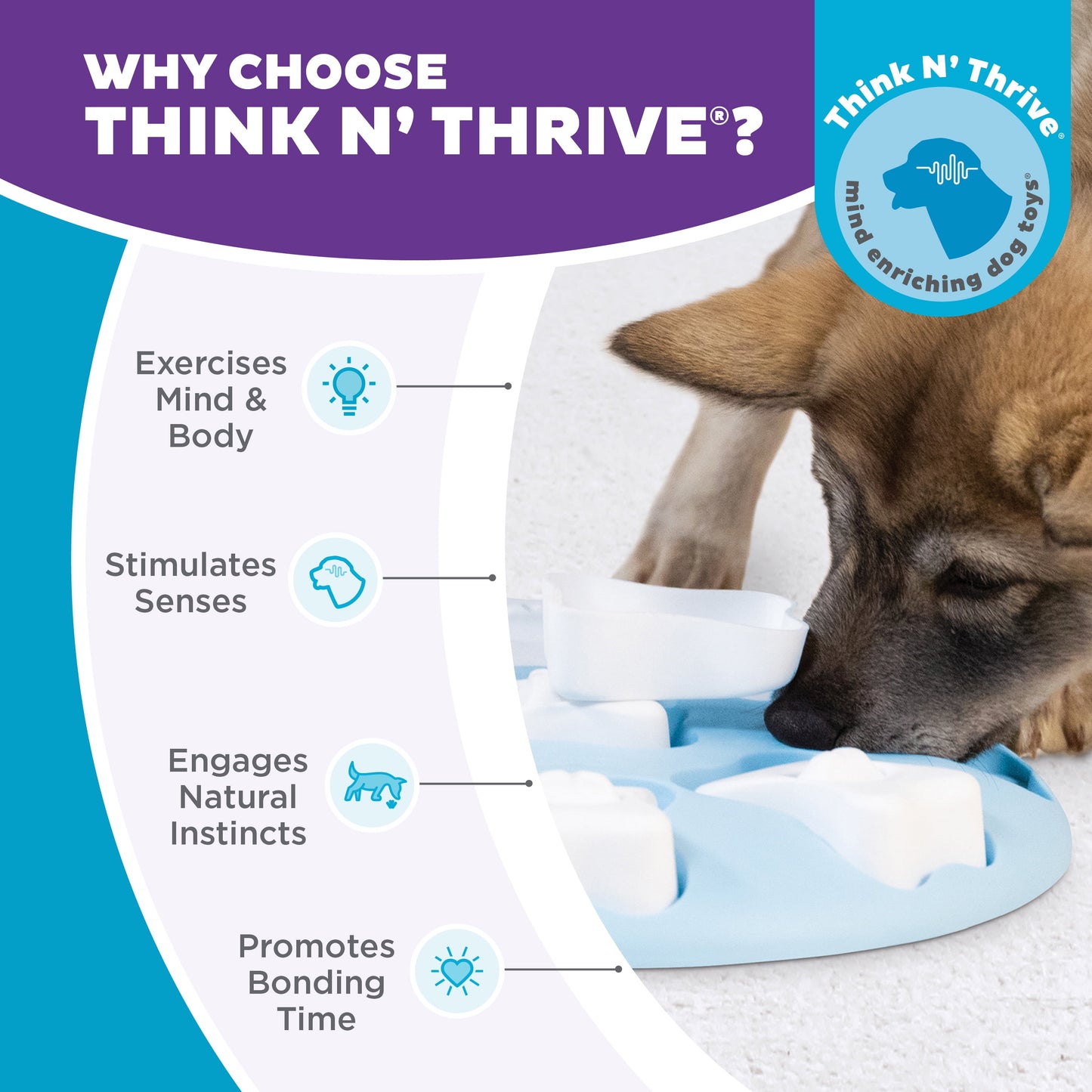 Nina Ottosson Puppy Smart Treat Puzzle Enrichment Toy, Level 1 Beginner, Blue